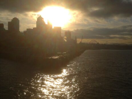 This is a dark case. The facts are bizarre.