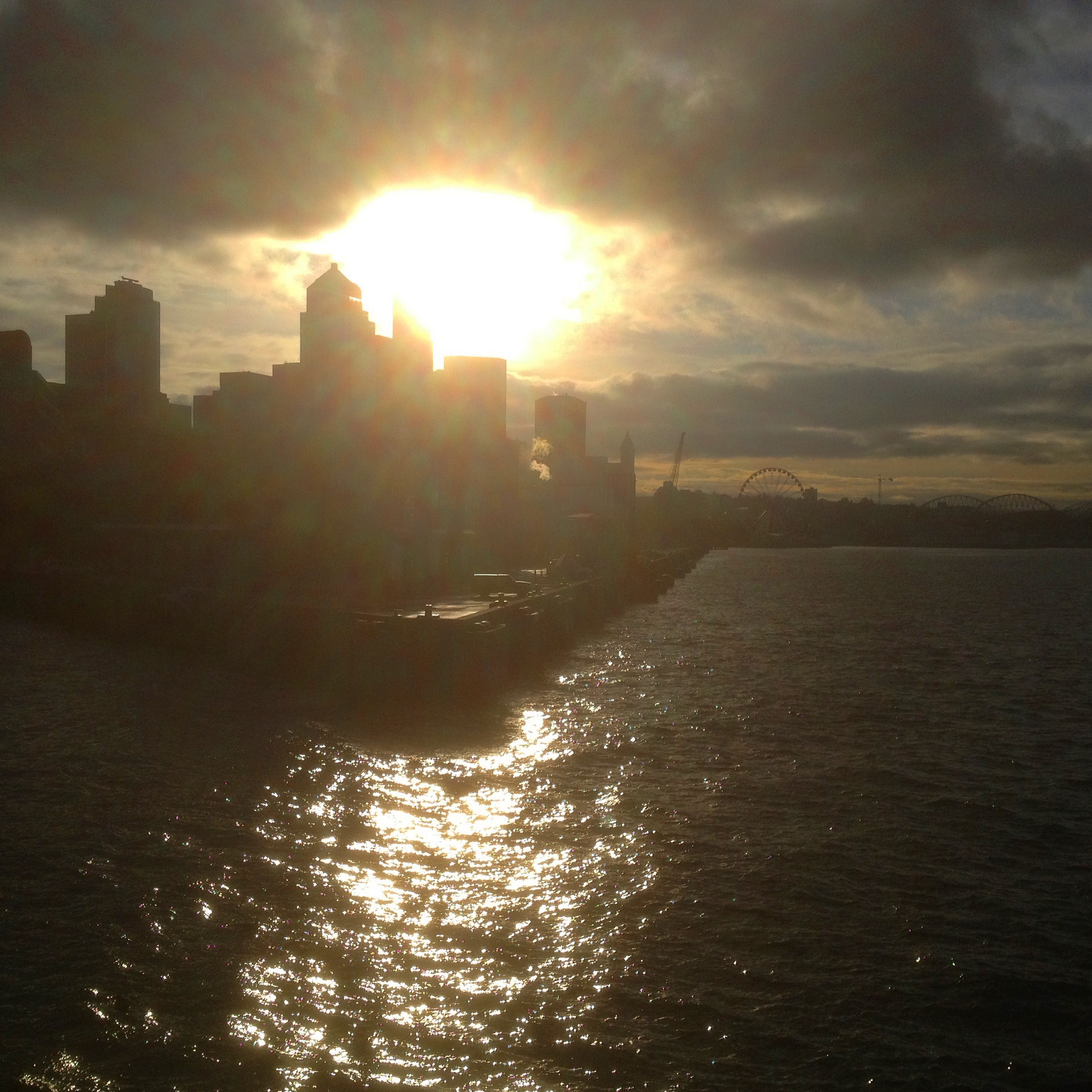 This is a dark case. The facts are bizarre.